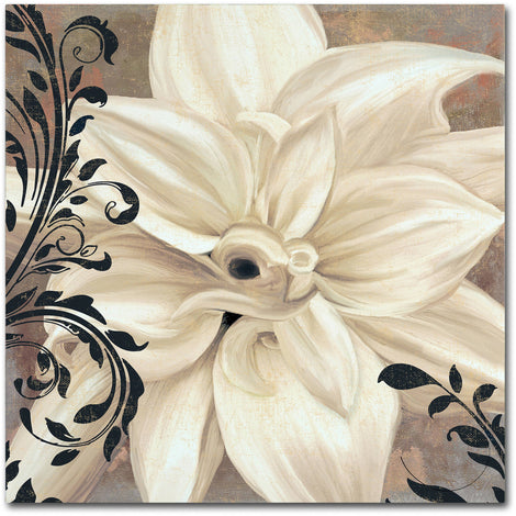 Trademark Fine Art "Winter White II" Canvas Art by Color Bakery