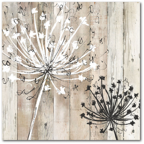 Courtside Market Farmhouse Fluff Gallery-Wrapped Canvas Wall Art, 16x16