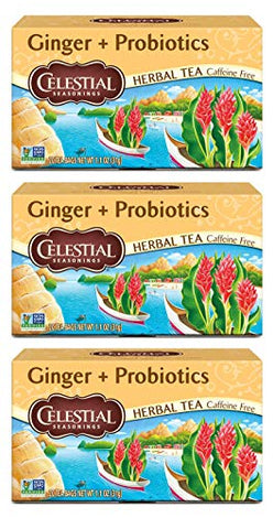 Celestial Seasonings Herbal Tea, Ginger Plus Probiotics, 20 Count (Pack of 3)