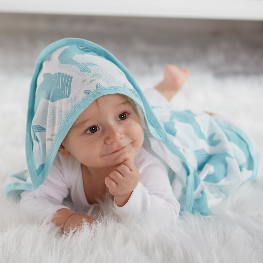 Terry Cloth Hooded Bath Towel, 2 Pack, Blue-Go Fish
